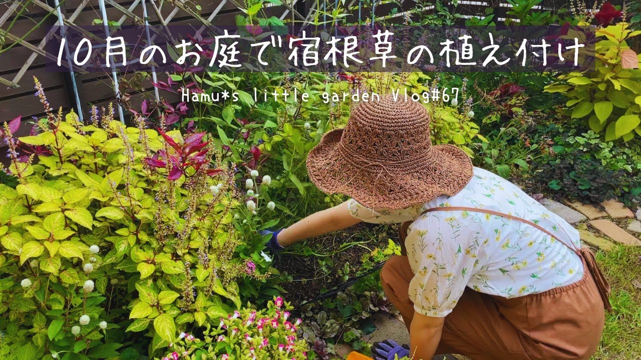 10月の庭仕事/おぎはら植物園の宿根草植え付け/ローメンテな庭を目指して