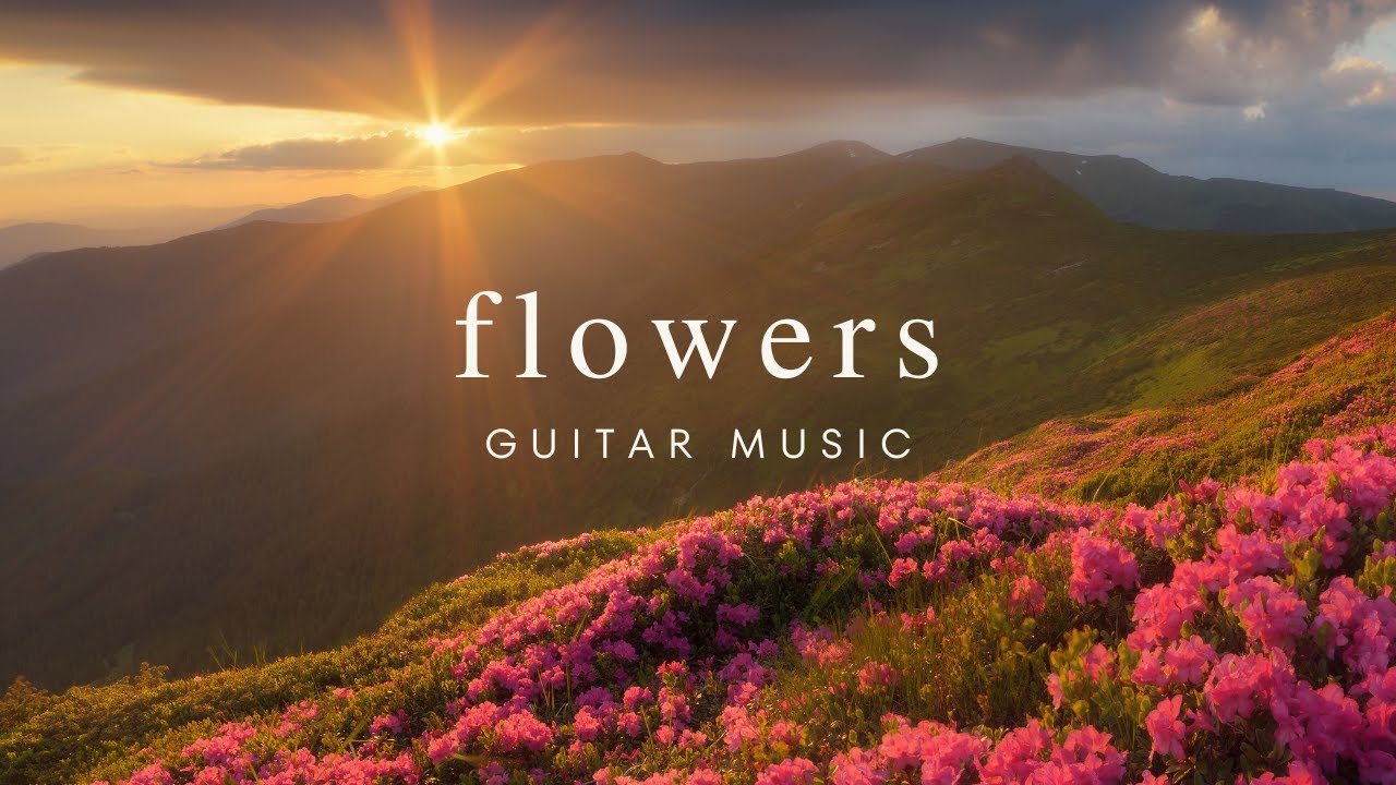 Peaceful Relaxing Guitar Music | Work Study Focus | 1 Hour