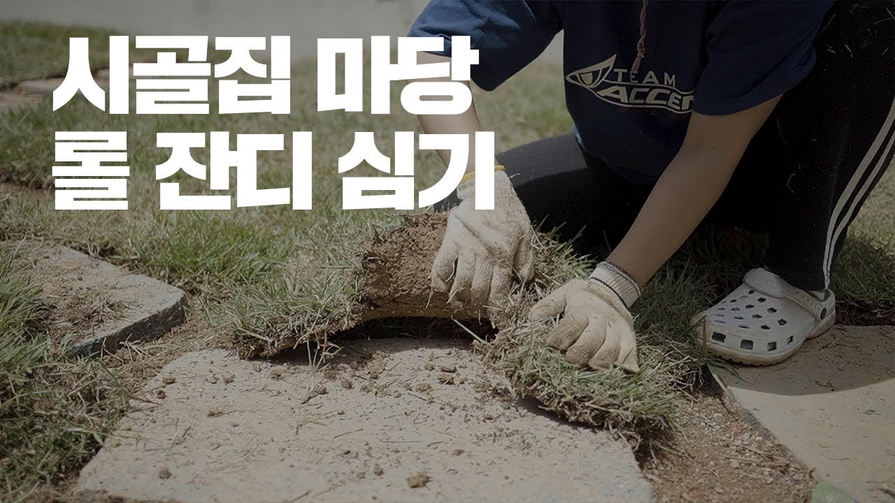 [시골집 리모델링] #6 시골집 마당 평탄화 후 잔디심기.  Planting grass in the yard