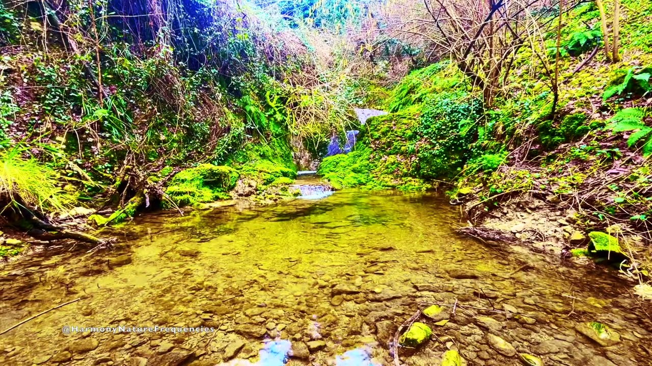 528Hz Deep Sleep Meditation 💧 Peaceful Forest Waterfall Healing Music