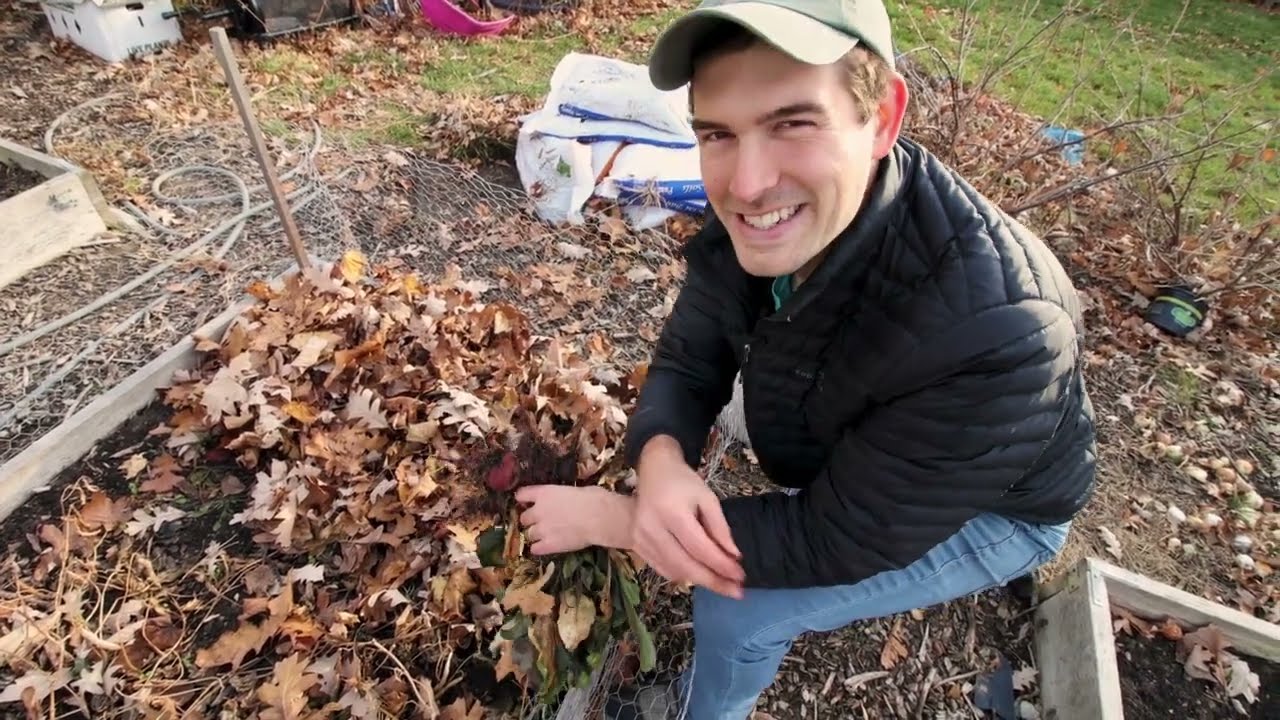 3 Cold Weather Crop Tips That You Probably Didn't Know!