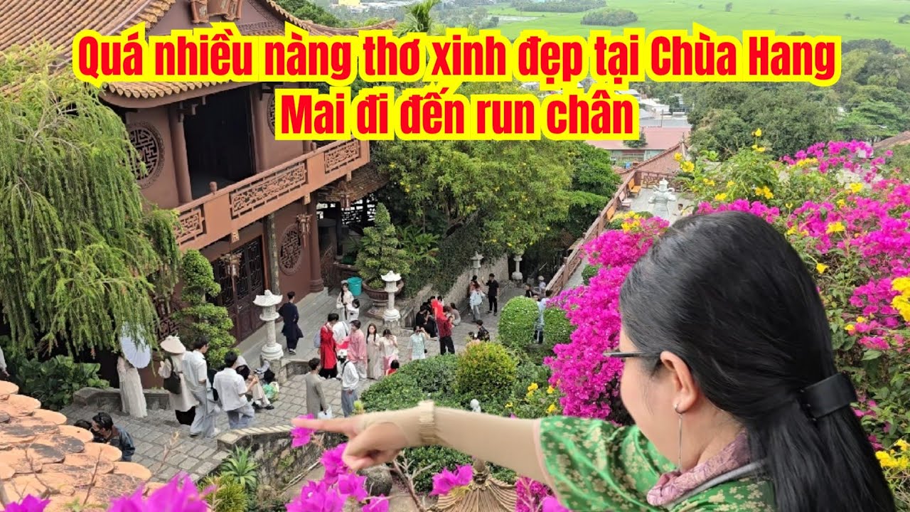 Chùa Hang Quá Nhiều Nàng Thơ Xinh Đẹp, Mai Đi Đến Run Chân....