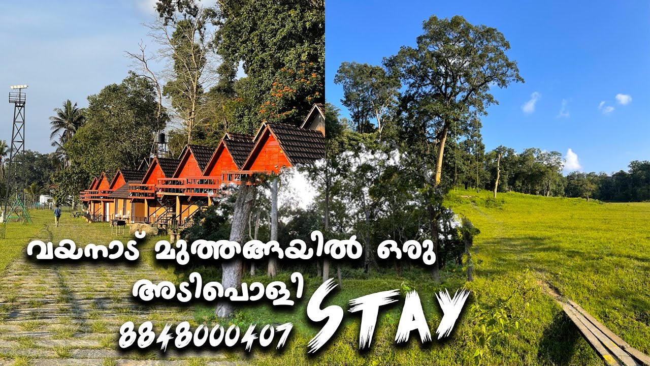 wayanad Muthanga Forest stay #wayanad #resort