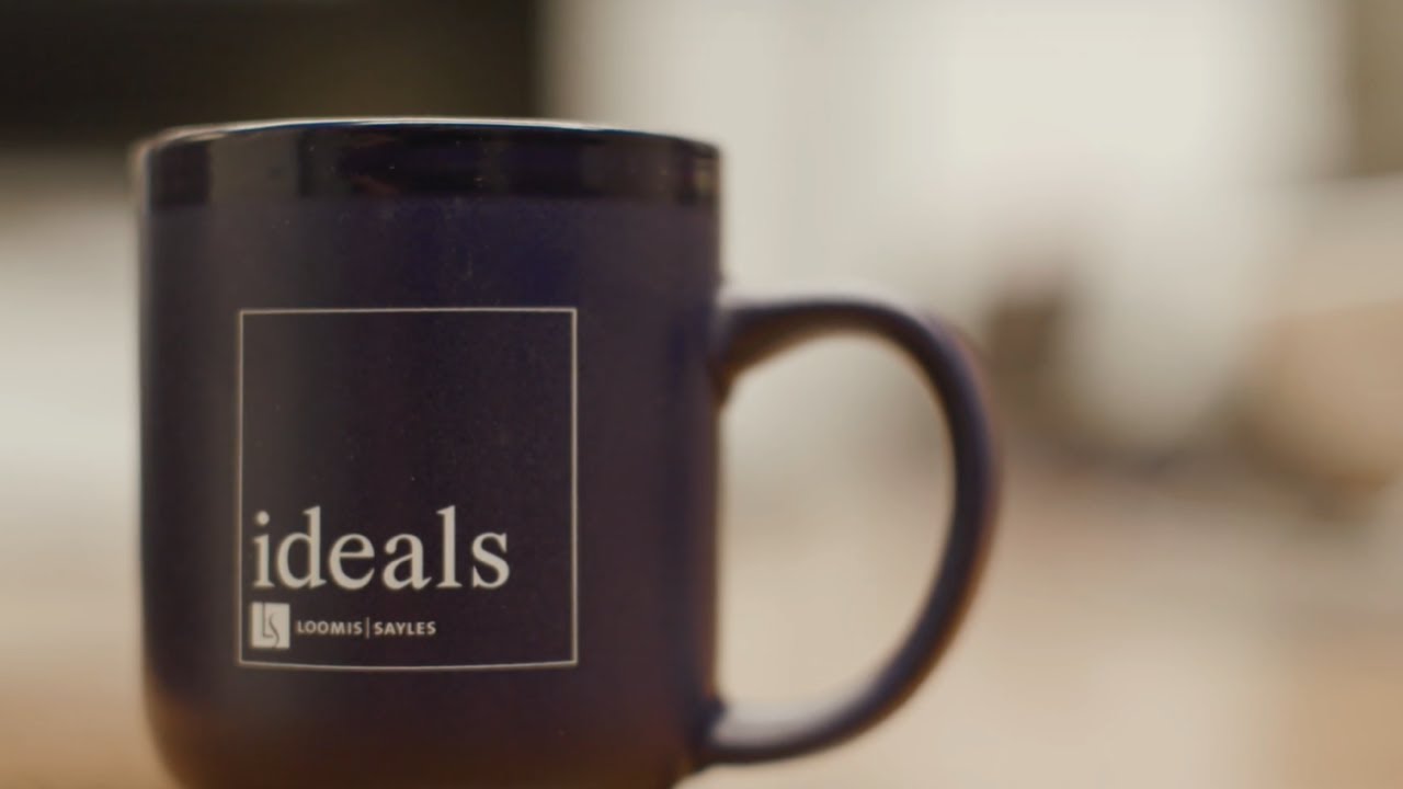 IDEALS in action with Investment Risk Management