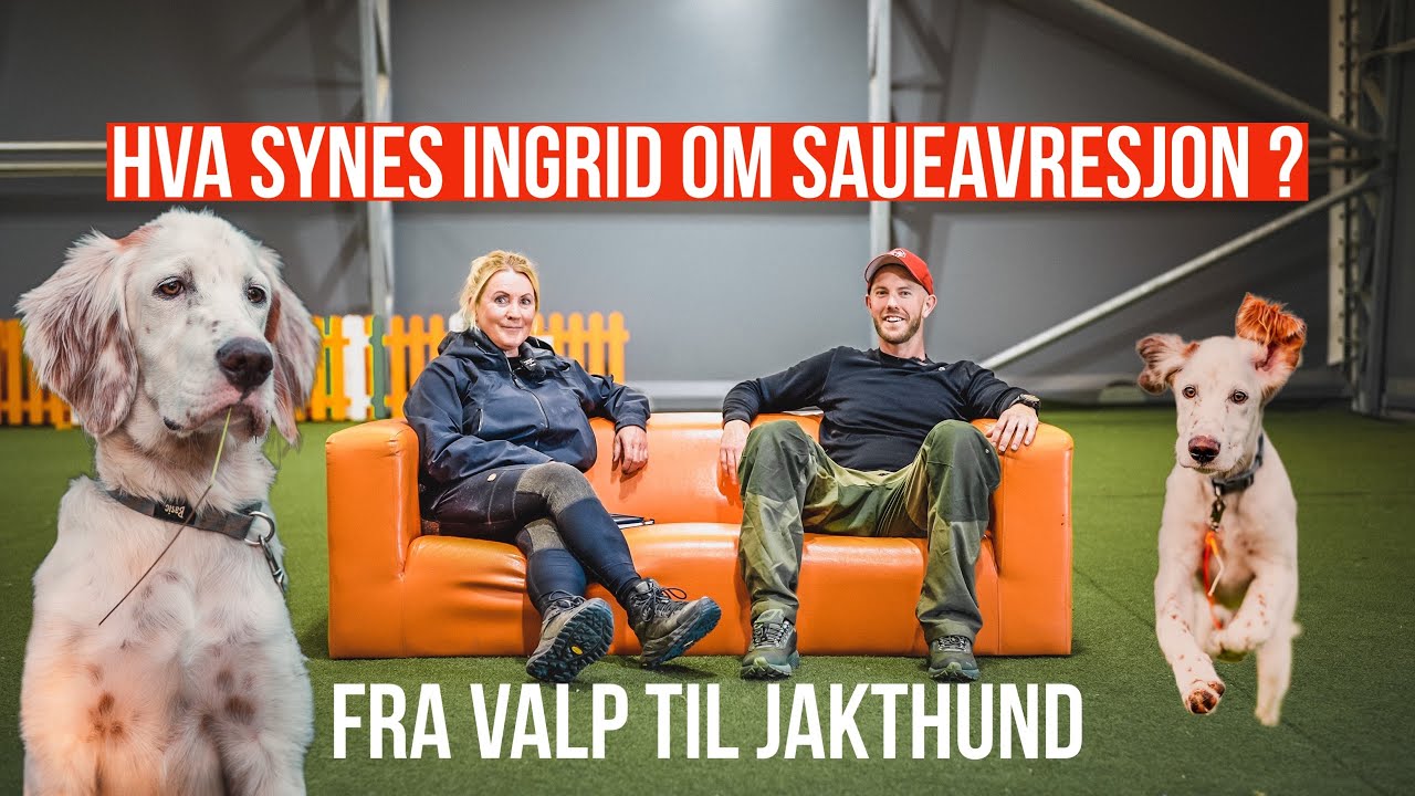 Spørsmål fra DEG og seerne/ Innkalling / avstandsitt / rolig hund og masse mer