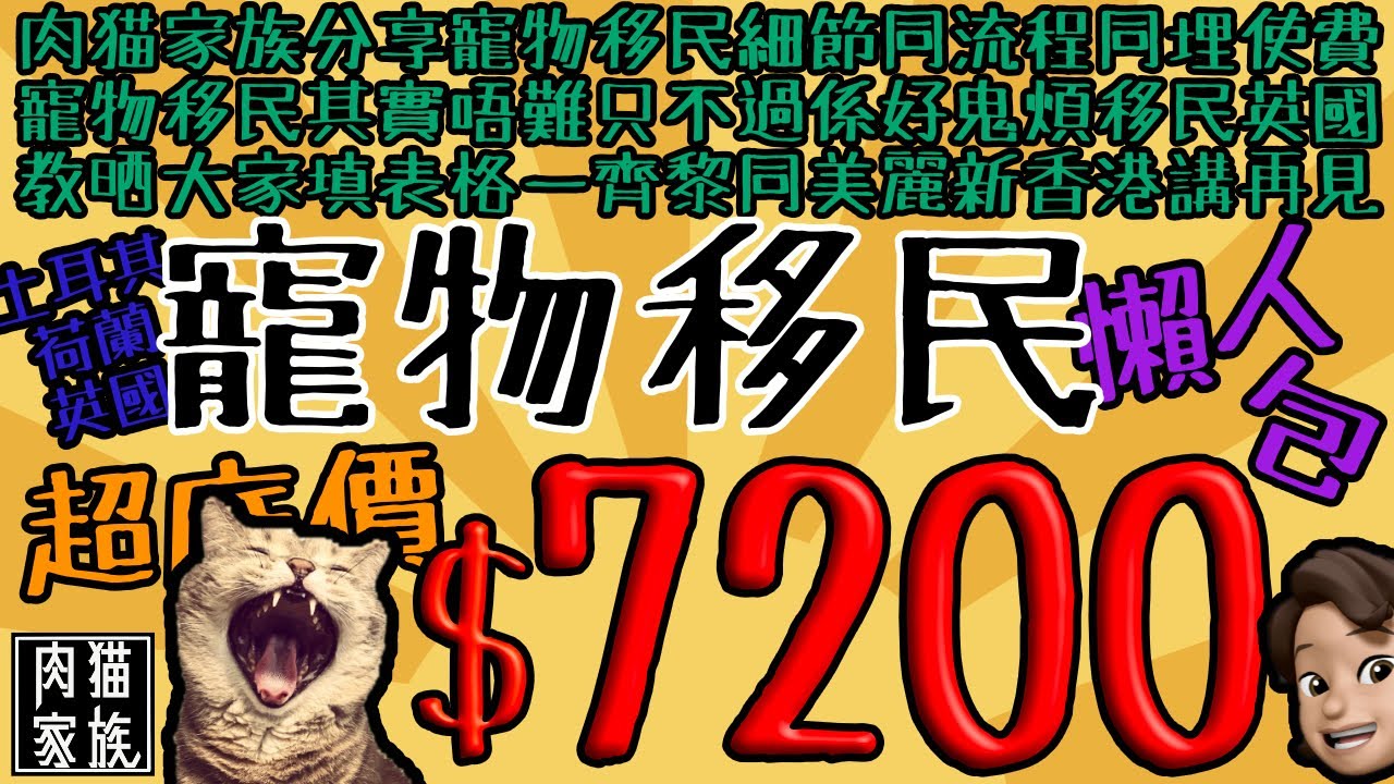 💥7猫移民英國 寵物移民分享 流程同埋使費 7200蚊攪掂晒 寵物移民懶人包 土耳其荷蘭英國路線【肉猫家族】🐱廣東話中文字幕😋香港人專用🤩美麗新香港😂