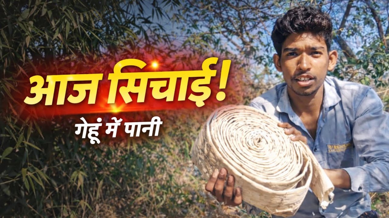 आज गेहूं की सिंचाई 🌾 | खेत में पानी कैसे दिया? | Village Farming Vlog