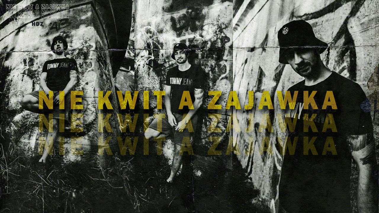 HDZ - NIE KWIT A ZAJAWKA