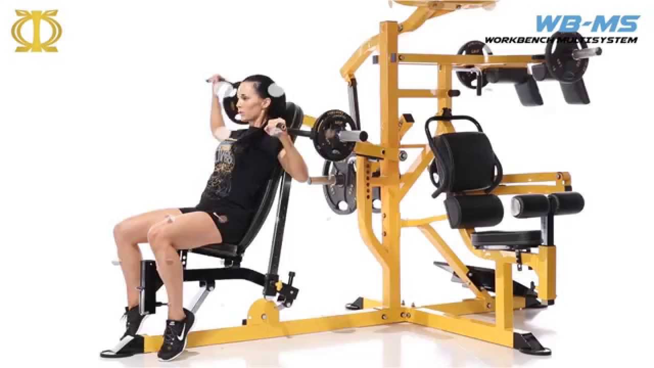 WB-MS Powertec Multi System