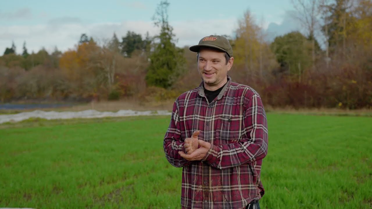 The Benefits of Cover Crops: Lessons from Square Root Farm | CAF