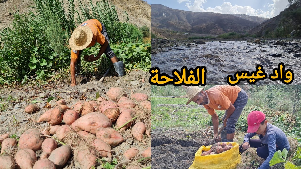 واد غيس مركز الفلاحة  في المنطقة ومناظر رائعة..نواحي الحسيمة