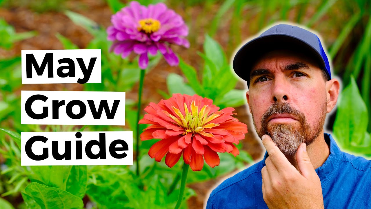 May Planting Options For Central Texas Get Weird