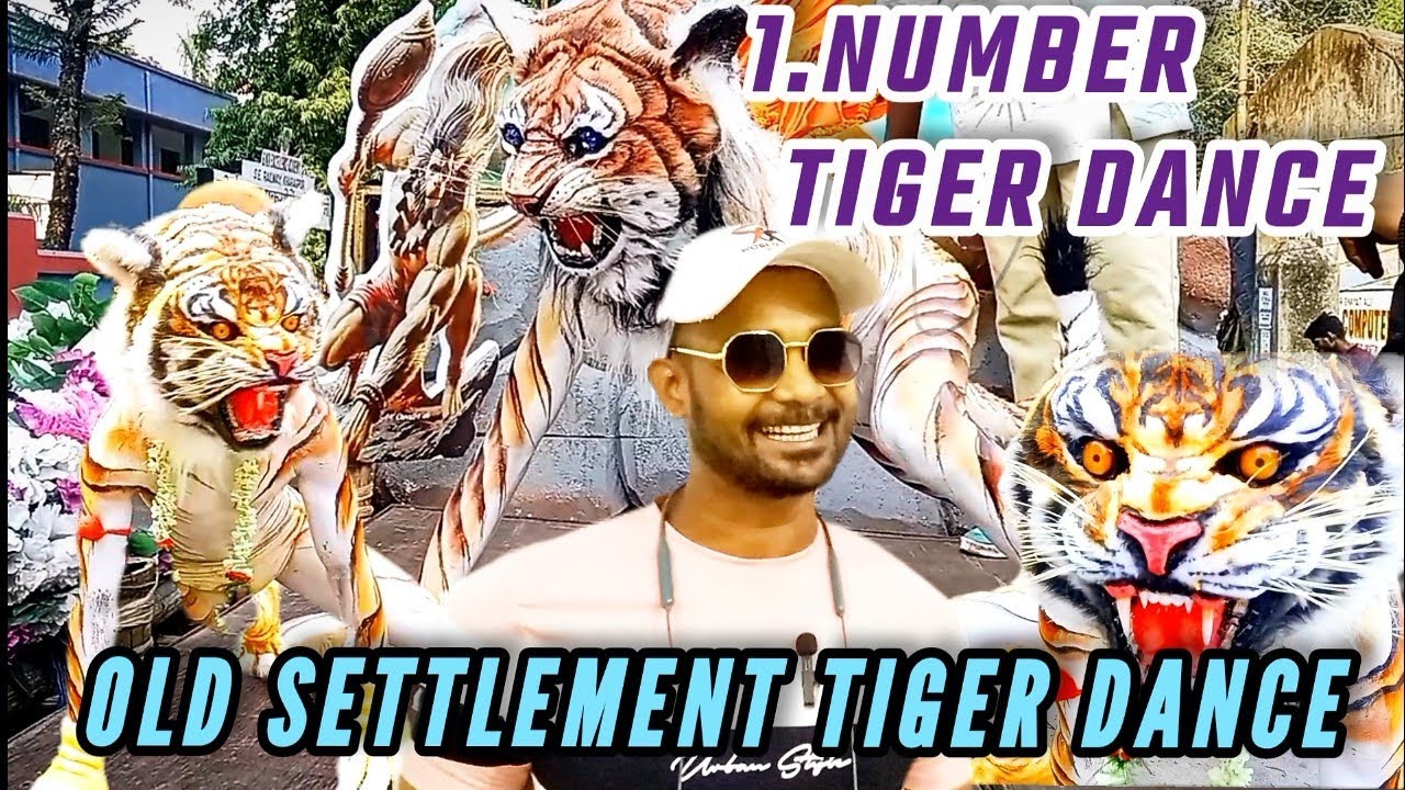 Old settlement Mata Puja ରେ ବାଘ ର ତାଣ୍ଡବ ପୁରା ଏରିଆ ଥରିଲା// 1.number Mata Puja mein tiger ka bawal 🐯😱
