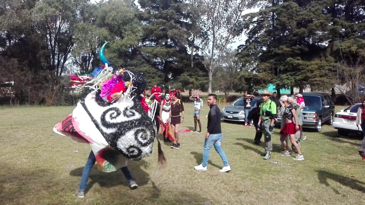 Torito de la Colonia Ibarra de Pátzcuaro Michoacán 2018.