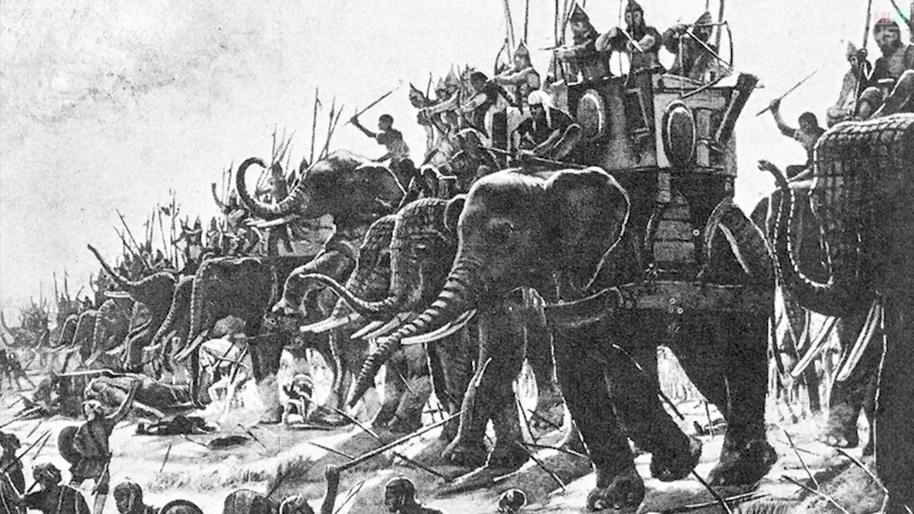 10 Perplexing Mysteries That Were Only Recently Solved