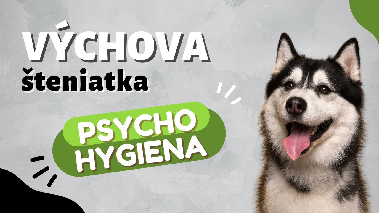 Prečo sú pre psa dôležité prechádzky v prírode? | CANISLOG Slovakia