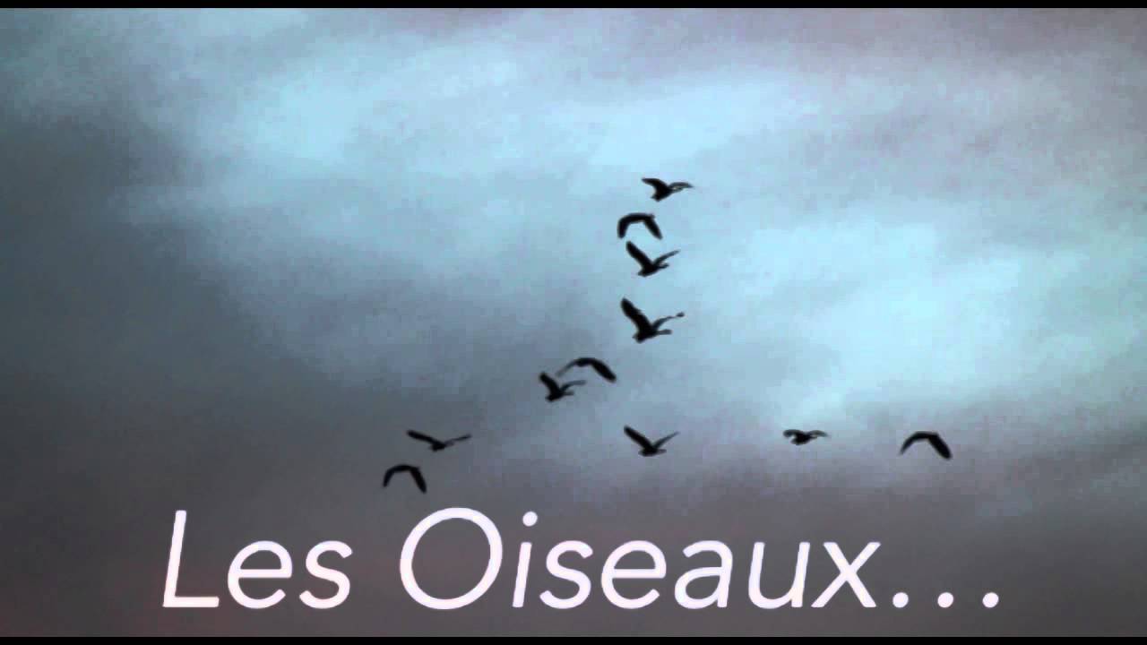 Kaaris - Les Oiseaux (Instrumental by Orse)
