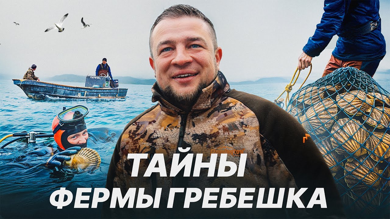 ФЕРМА ГРЕБЕШКА: как добывают морской деликатес в Приморье.