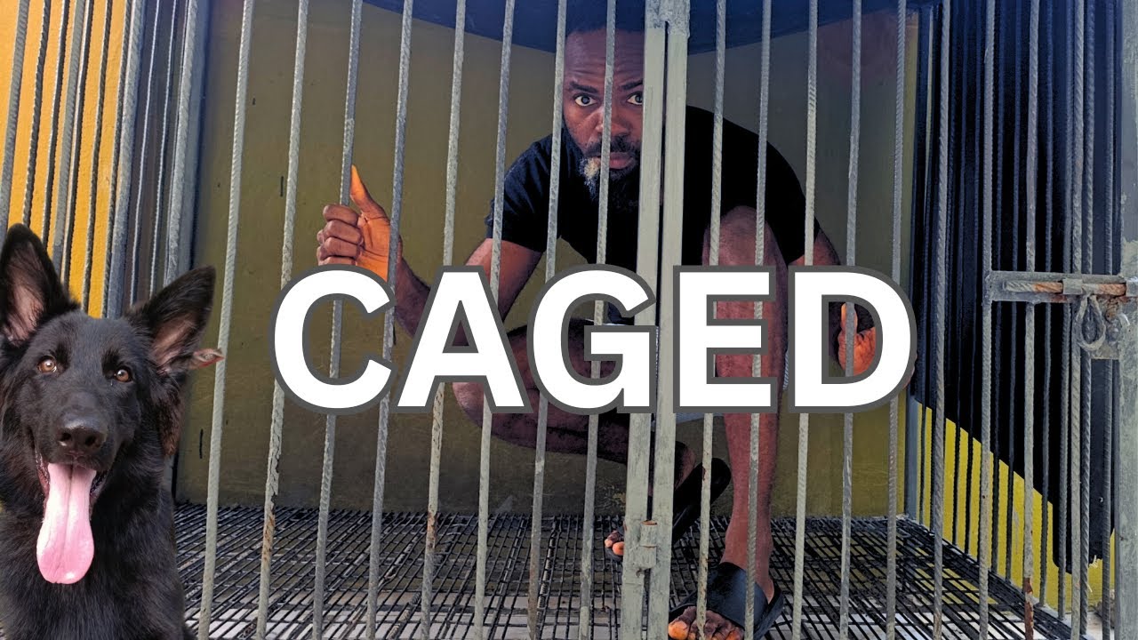 How It Feels in Sky's Dog House