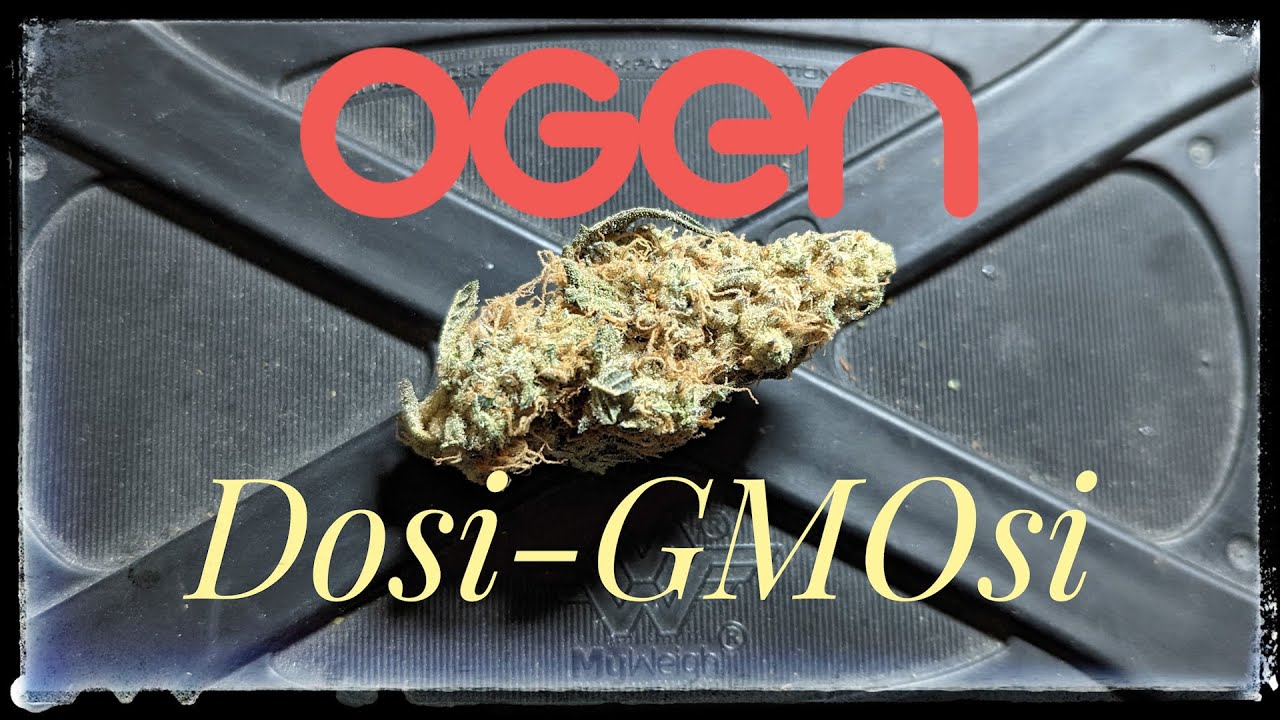 Strain Review - Dosi GMOsi #13 - OGEN