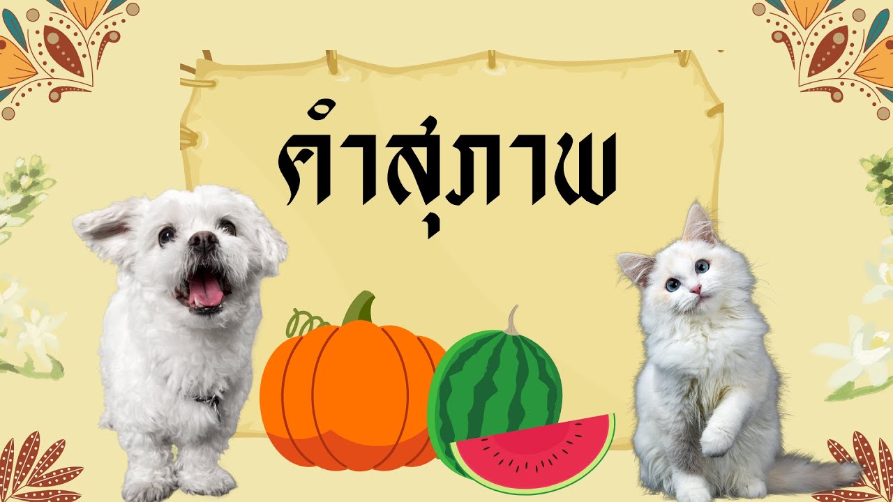 คำสุภาพ (หมวดสัตว์ พืช ดอกไม้ ขนม อาหาร อื่น ๆ) #ภาษาไทย #คำสุภาพ #คำราชาศัพท์ #ภาษาไทย  #education