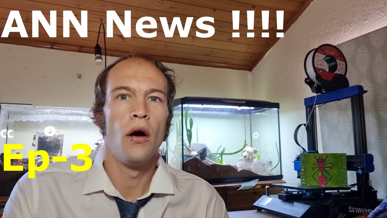 ANN News - Ant News Network - Ep-3