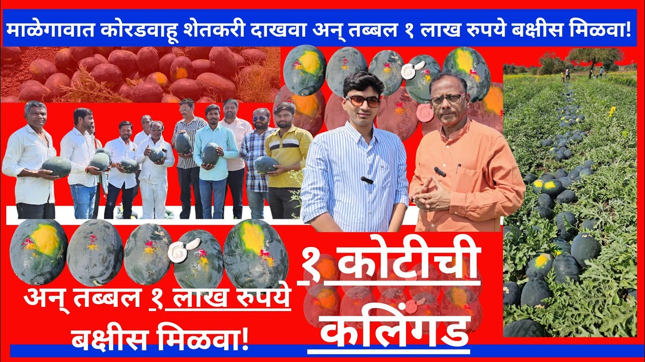 १० कोटीचा ऊस,२ कोटीची पपई,१ कोटीची कलिंगड तर १ कोटीची कांदे पिकविणारं छोटंसं गाव!!!