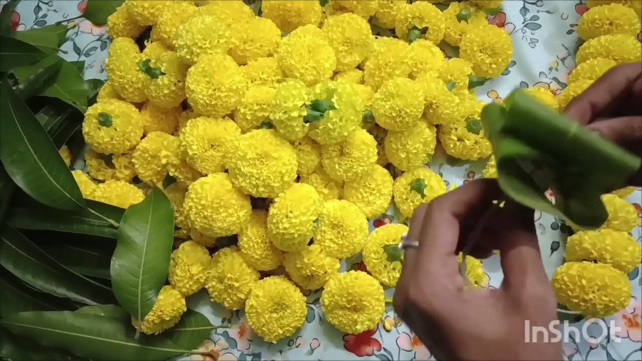 ##బంతిపూలు మాలలు## 🌺🌺🌺
