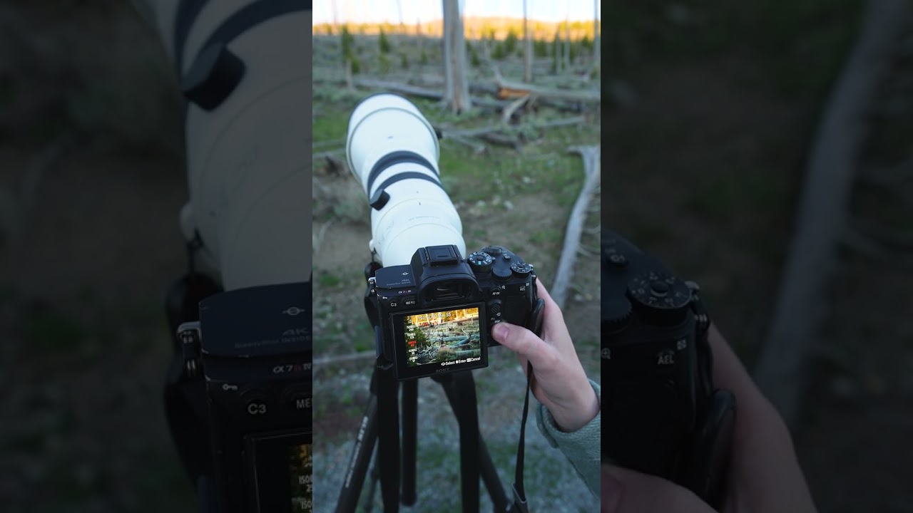 Come scattare in modalit&agrave; Priorit&agrave; di Apertura