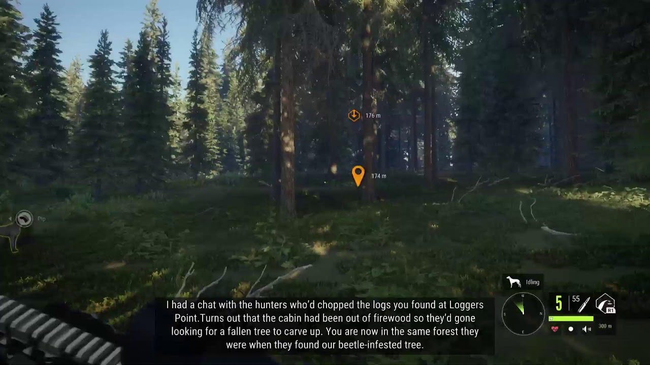 Call of the Wild