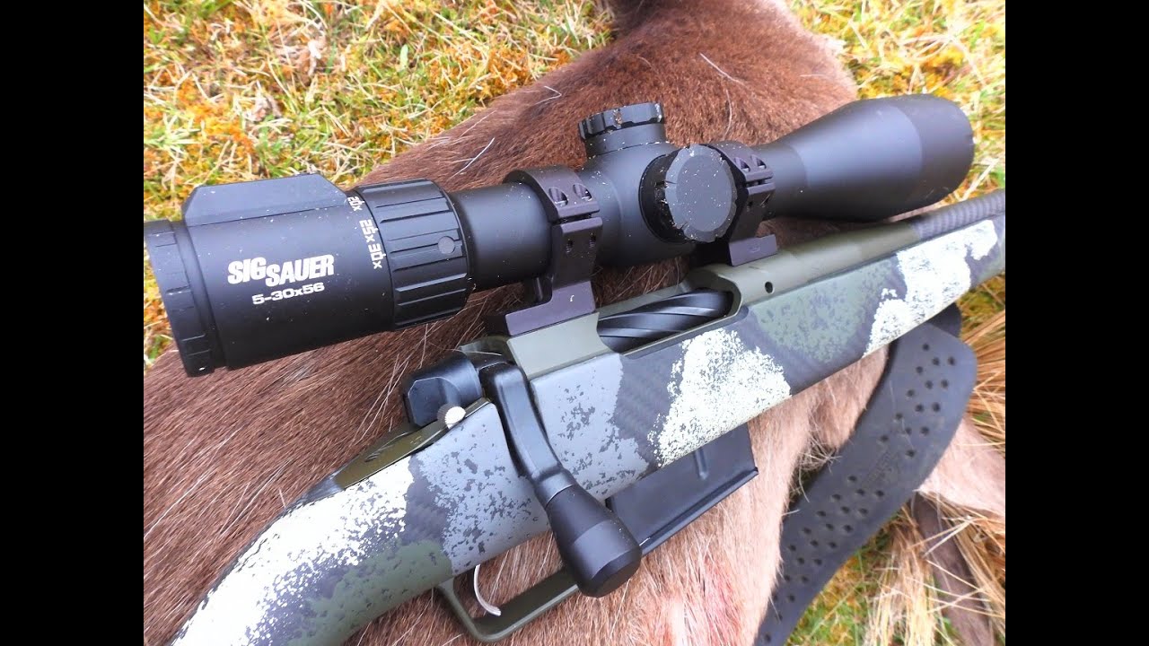 Sig BDX