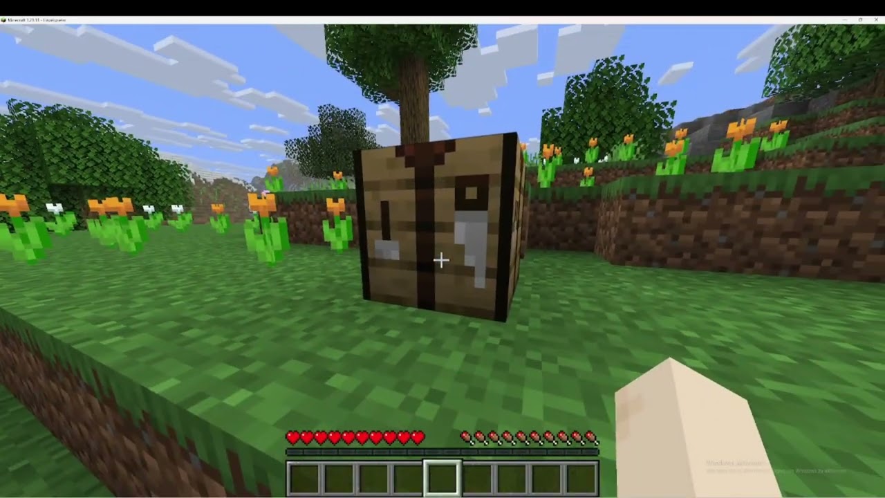 Minecraft Tutorial 1: Settings und den ersten Tag überleben