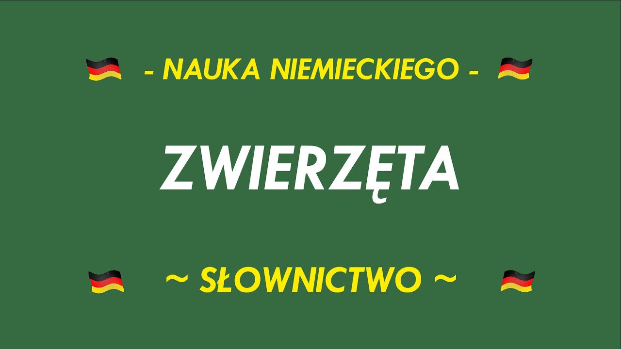 SŁOWNICTWO - ZWIERZĘTA