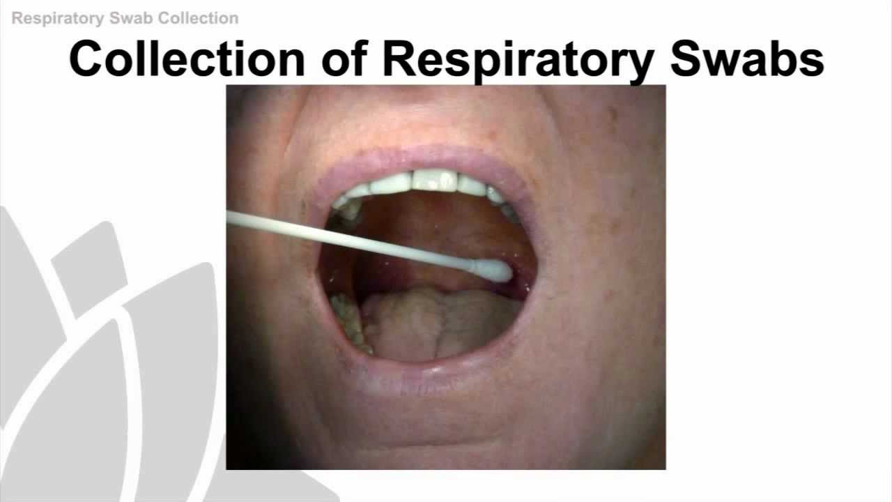 Respiratory Swab Collection Training Video - NSW Health