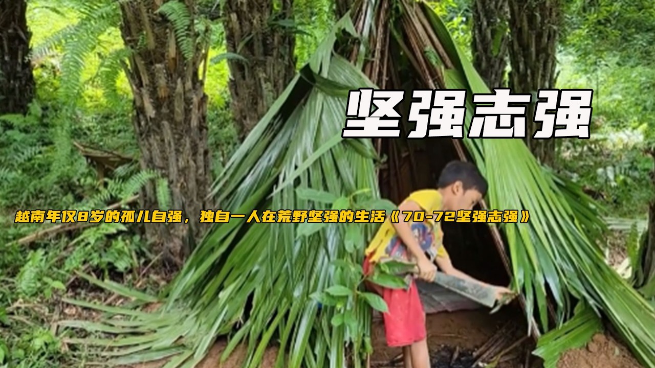 越南年僅8歲的孤兒自強，獨自一人在荒野堅強的生活《70-72堅強志強》