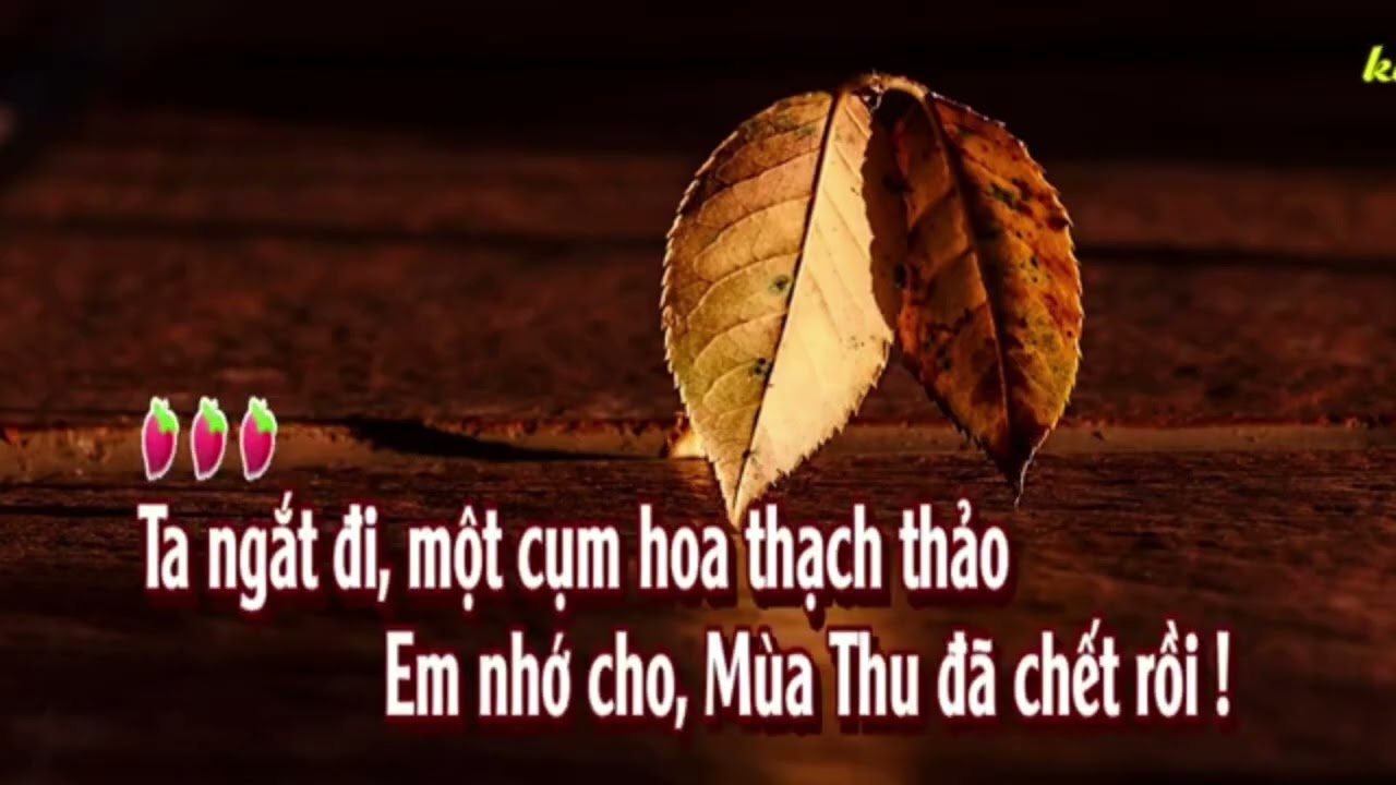 Mùa thu chết.Hạ 1tone