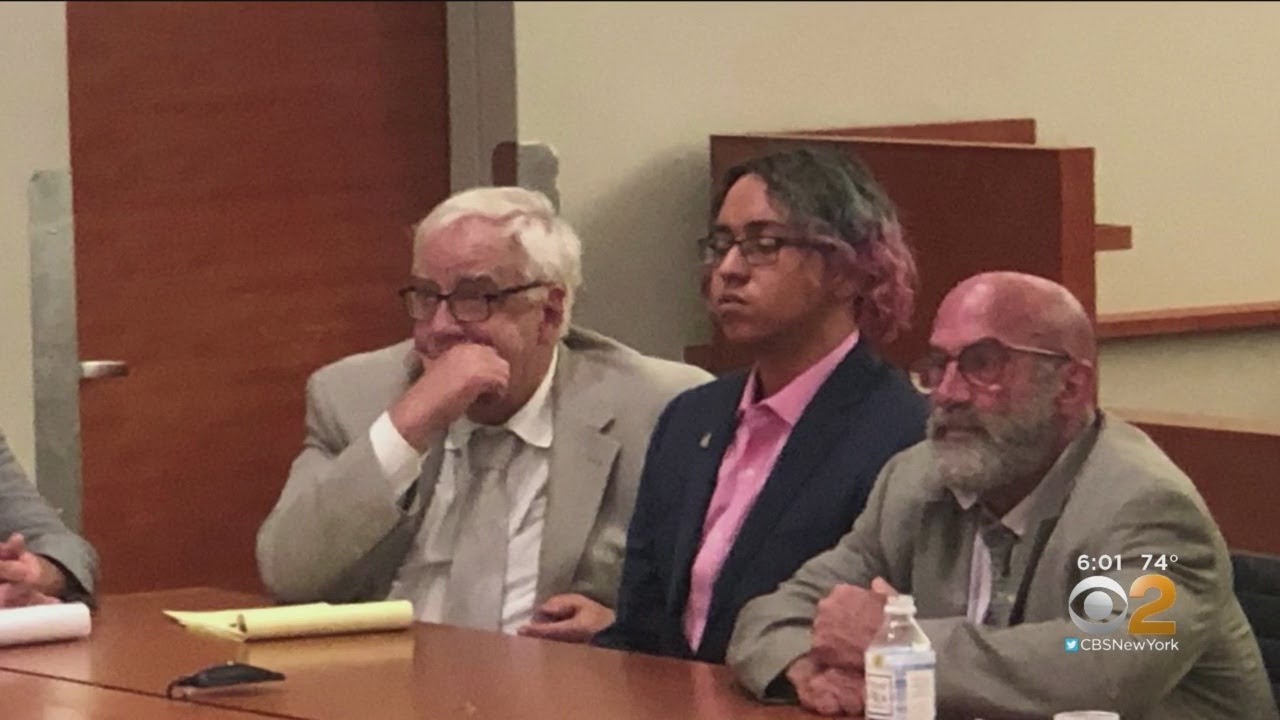 Bronx School Stabber Testifies In Court