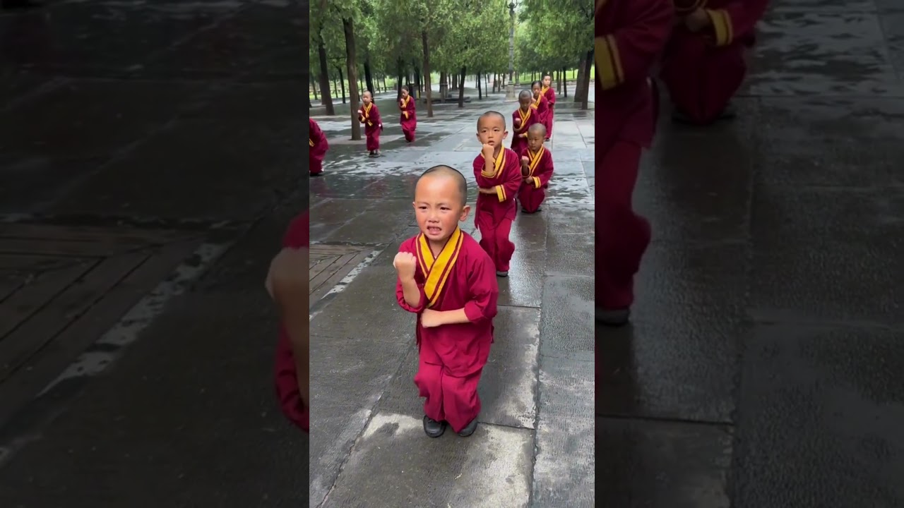 Shaolin Kids Very Hard Kung Fu Training Techniques 💖🤗🤩 #shorts #shaolin #wushu
