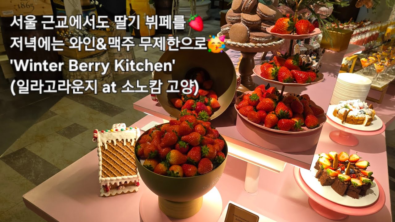 서울 근교에서도 딸기 뷔페를🍓 저녁에는 와인&맥주 무제한으로🥳 'Winter Berry Kitchen' (일라고라운지 at 소노캄 고양)