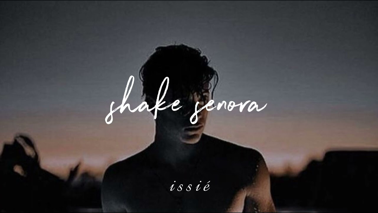 shake senora ♡ (slowed + reverb)