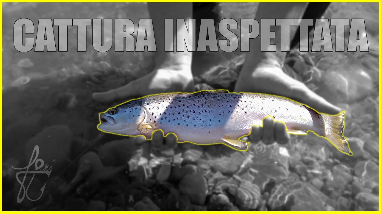 LA TROTA DEL FIUME MAGRA!