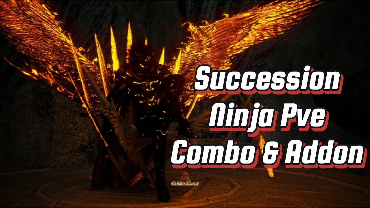 BDO Succession Ninja Pve Combo & Addons 