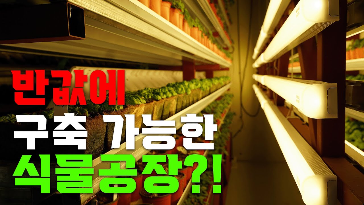 식물공장 반값에 구축 가능한 방법!!ㅣ 식물공장 구축 노하우 공개 ㅣ 특허받은 식물공장