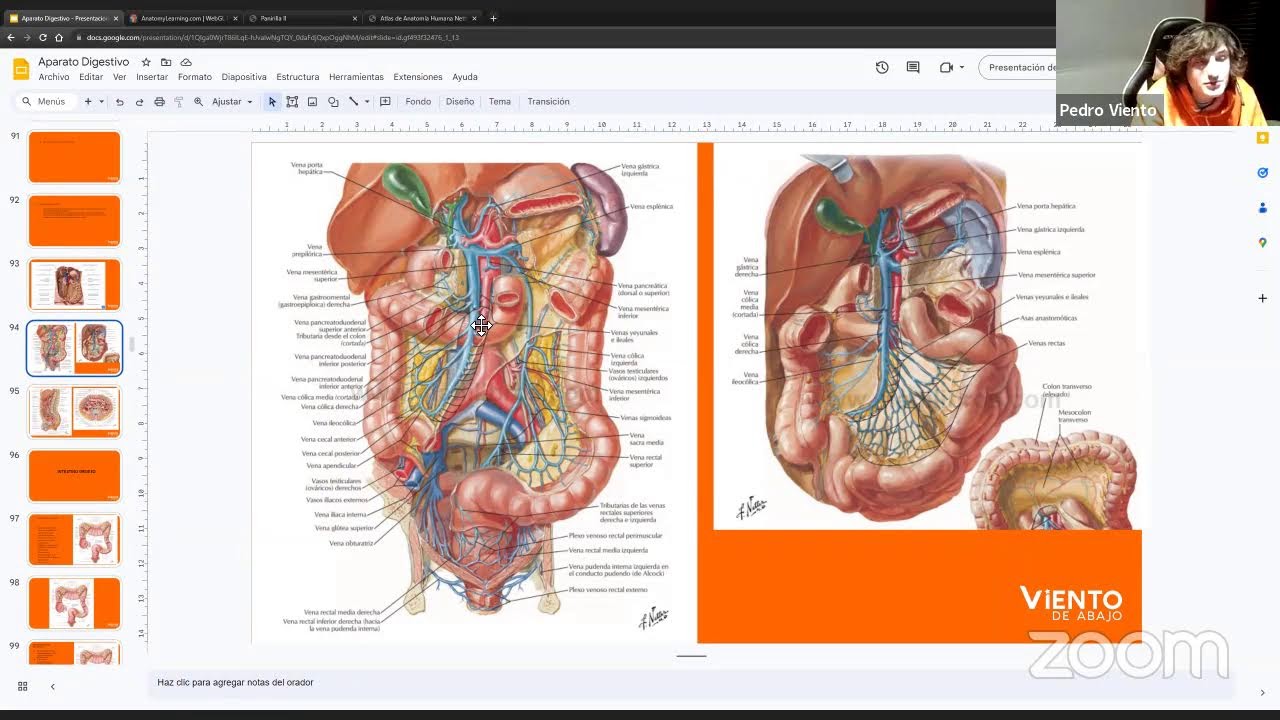 Repaso de Anatomia - Abdomen Abierto, Abdomen Cerrado y Esplacnologia