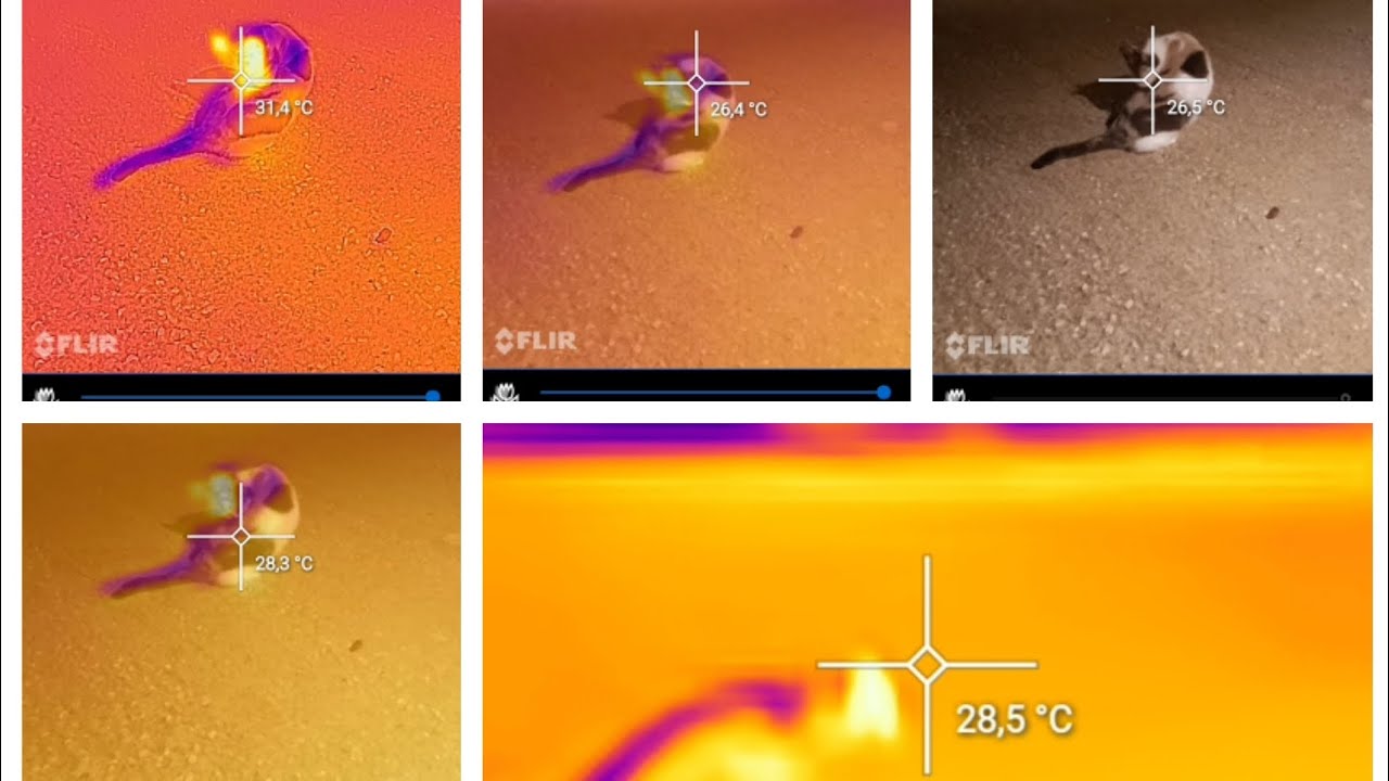 Incredible Thermal camera Ulefone armor 27T Pro all scenes test! Yes its the best Flir Thermal!