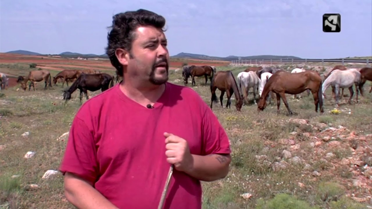 Trashumancia de caballos Asociación La Dula - Aragon TV - Tempero 252