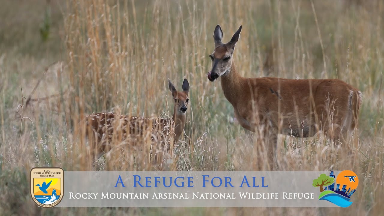 A Refuge for All - Rocky Mountain Arsenal National Wildlife Refuge
