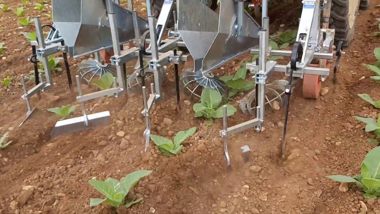 BINADORA OLIVER ROTOSARK EN CULTIVO DE TABACO NAVARRA