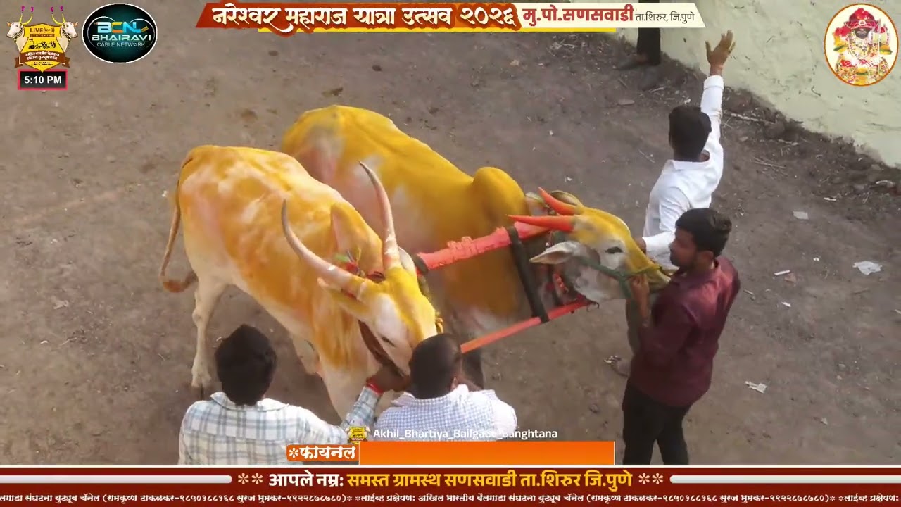 श्री नरेश्वर महाराज यात्रा उत्सव २०२६ || सणसवाडी || दुसरा दिवस || फायनलच्या सर्व बाऱ्या