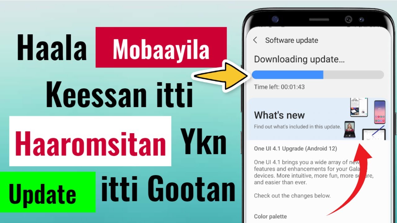 Haala Mobaayila Keessan itti Haaromsitan Ykn Update itti Gootan